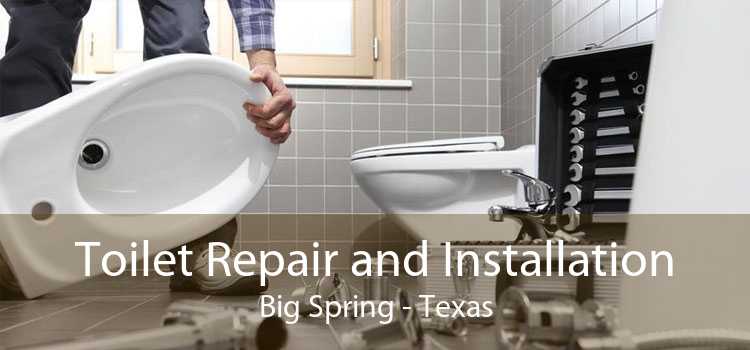 Toilet Repair and Installation Big Spring - Texas