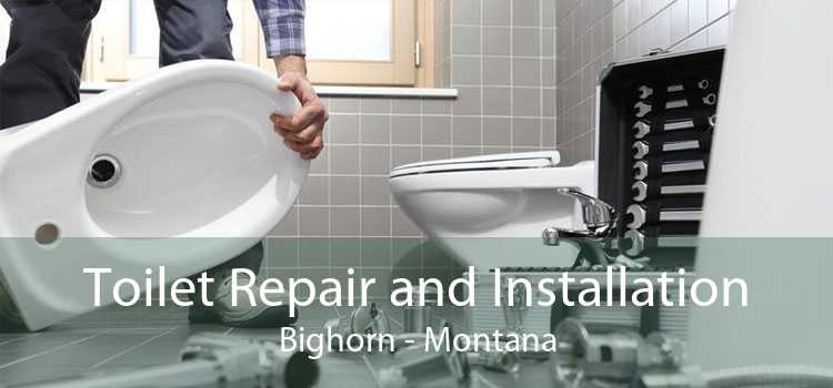 Toilet Repair and Installation Bighorn - Montana