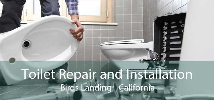 Toilet Repair and Installation Birds Landing - California
