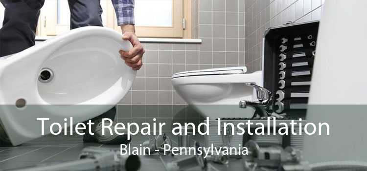 Toilet Repair and Installation Blain - Pennsylvania