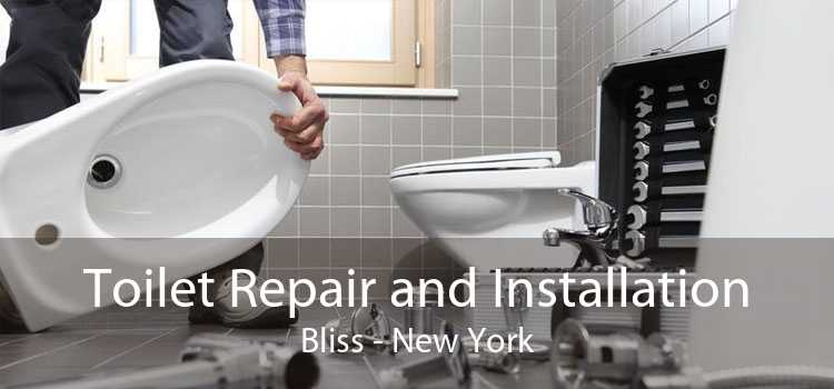 Toilet Repair and Installation Bliss - New York