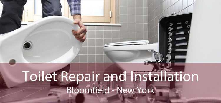 Toilet Repair and Installation Bloomfield - New York