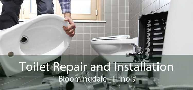 Toilet Repair and Installation Bloomingdale - Illinois