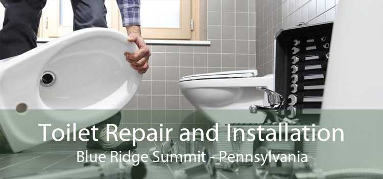 Toilet Repair and Installation Blue Ridge Summit - Pennsylvania