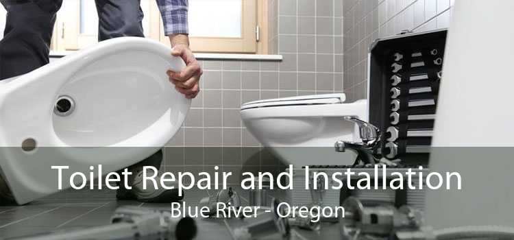 Toilet Repair and Installation Blue River - Oregon