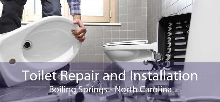 Toilet Repair and Installation Boiling Springs - North Carolina