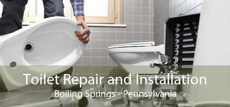 Toilet Repair and Installation Boiling Springs - Pennsylvania