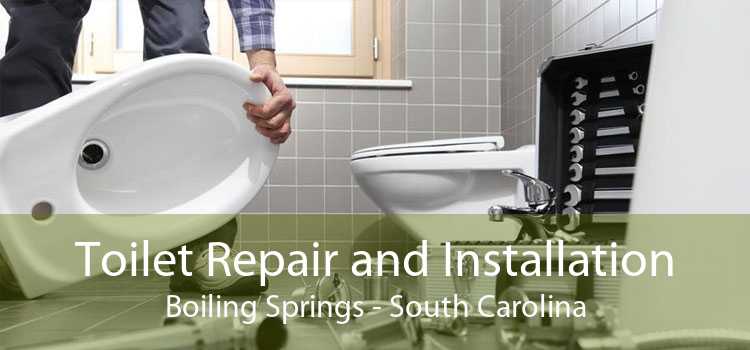 Toilet Repair and Installation Boiling Springs - South Carolina
