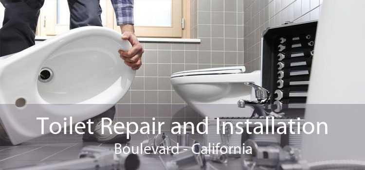 Toilet Repair and Installation Boulevard - California