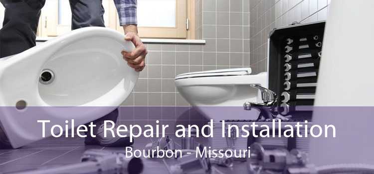 Toilet Repair and Installation Bourbon - Missouri