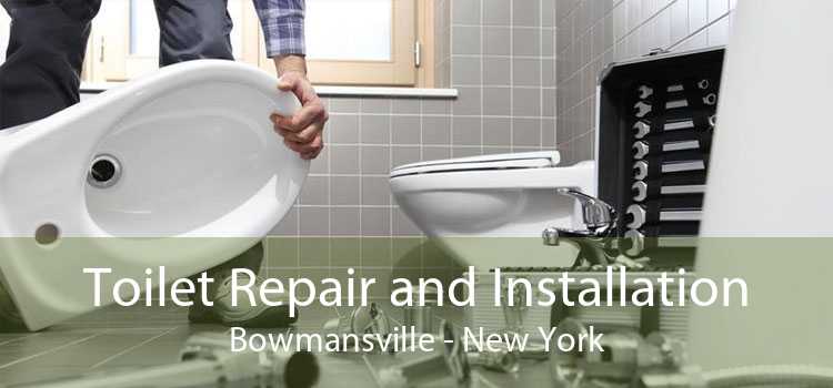 Toilet Repair and Installation Bowmansville - New York