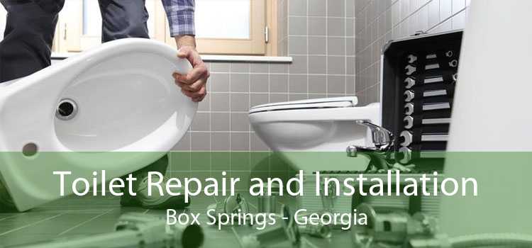 Toilet Repair and Installation Box Springs - Georgia