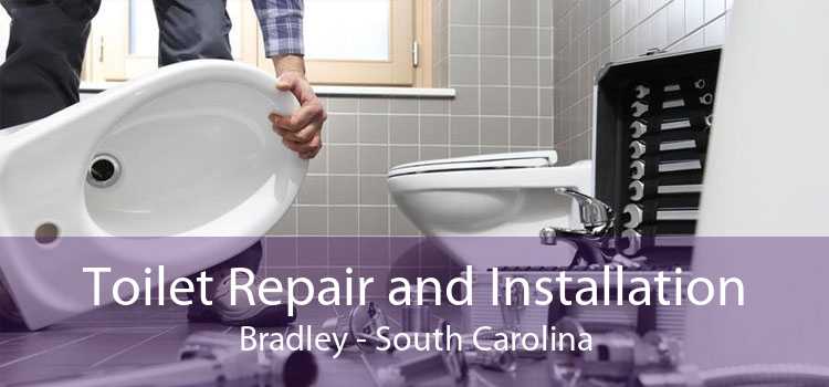 Toilet Repair and Installation Bradley - South Carolina