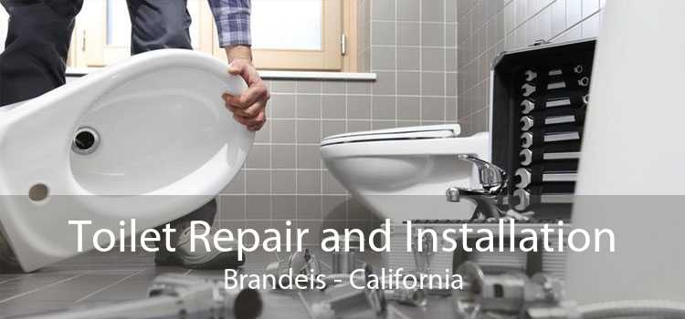 Toilet Repair and Installation Brandeis - California