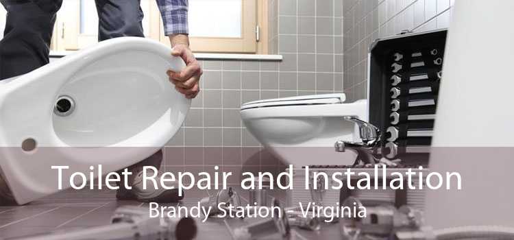 Toilet Repair and Installation Brandy Station - Virginia