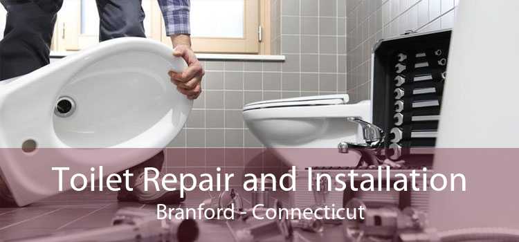 Toilet Repair and Installation Branford - Connecticut