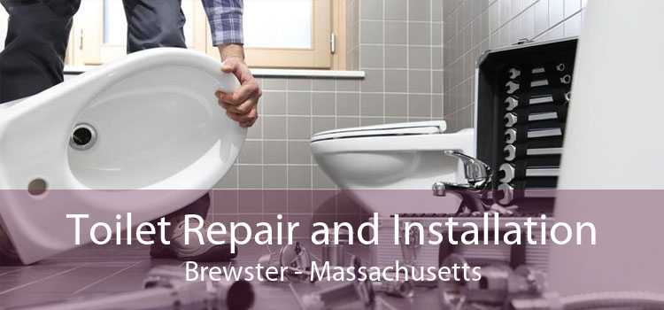 Toilet Repair and Installation Brewster - Massachusetts