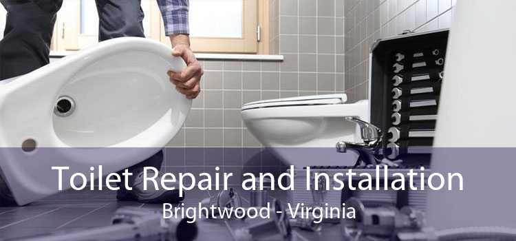 Toilet Repair and Installation Brightwood - Virginia