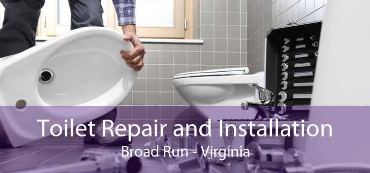 Toilet Repair and Installation Broad Run - Virginia