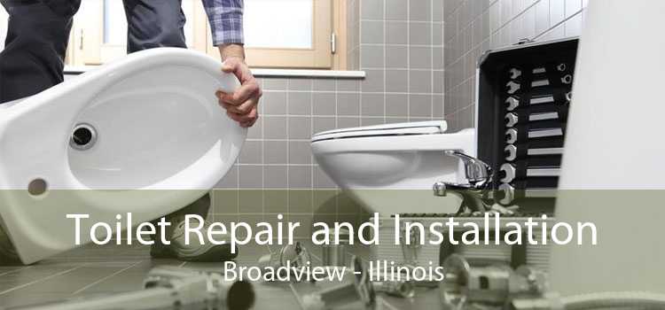 Toilet Repair and Installation Broadview - Illinois