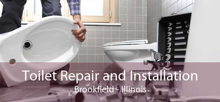 Toilet Repair and Installation Brookfield - Illinois