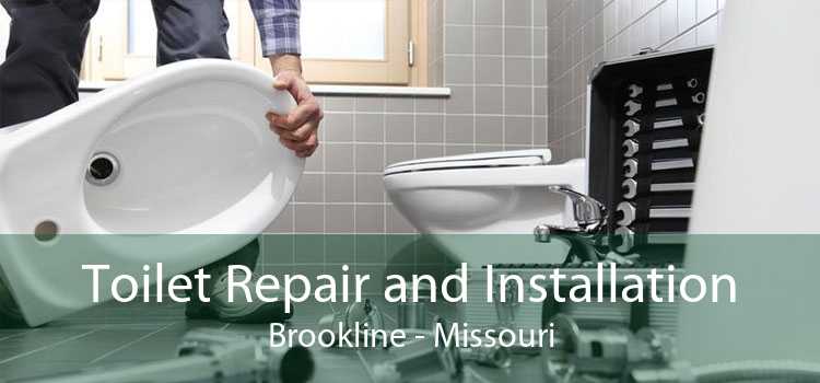 Toilet Repair and Installation Brookline - Missouri