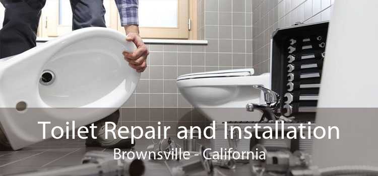 Toilet Repair and Installation Brownsville - California