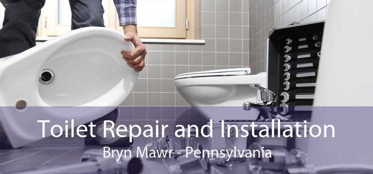 Toilet Repair and Installation Bryn Mawr - Pennsylvania