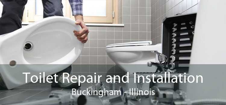 Toilet Repair and Installation Buckingham - Illinois