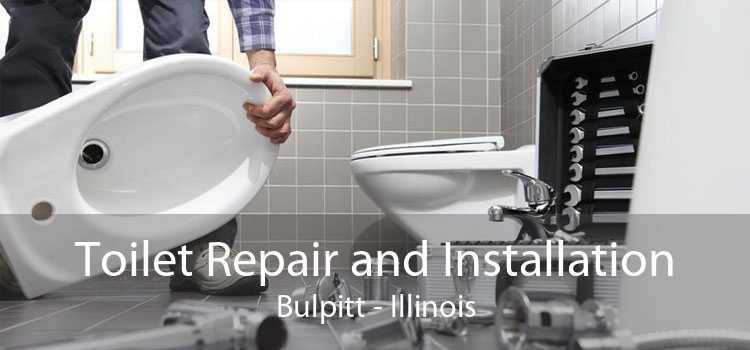 Toilet Repair and Installation Bulpitt - Illinois