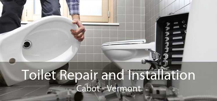 Toilet Repair and Installation Cabot - Vermont