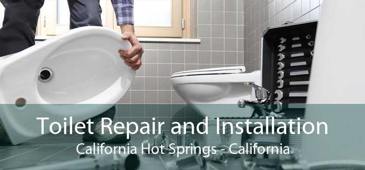 Toilet Repair and Installation California Hot Springs - California
