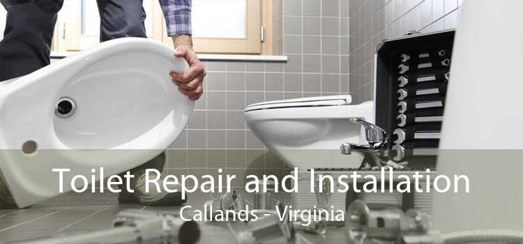 Toilet Repair and Installation Callands - Virginia
