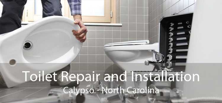 Toilet Repair and Installation Calypso - North Carolina