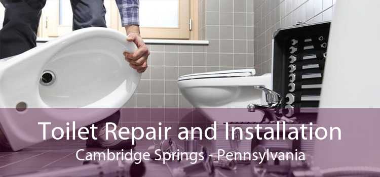 Toilet Repair and Installation Cambridge Springs - Pennsylvania