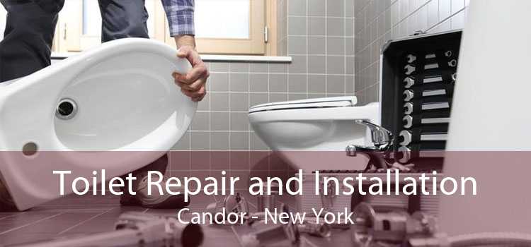 Toilet Repair and Installation Candor - New York