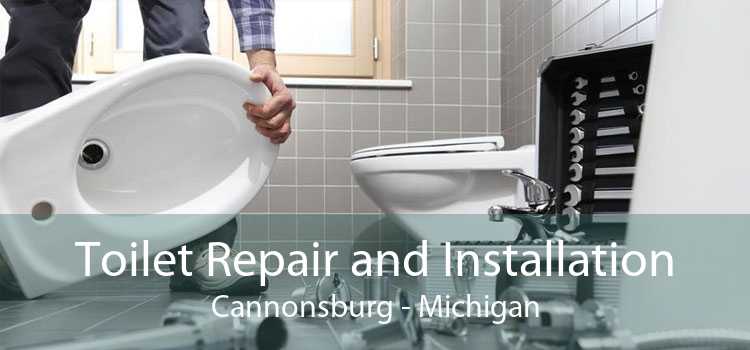 Toilet Repair and Installation Cannonsburg - Michigan
