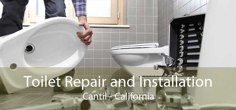 Toilet Repair and Installation Cantil - California