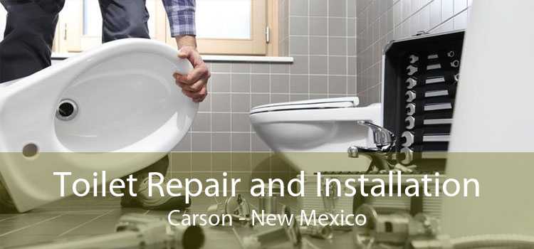 Toilet Repair and Installation Carson - New Mexico