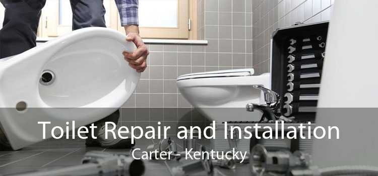 Toilet Repair and Installation Carter - Kentucky