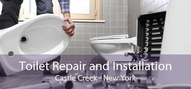 Toilet Repair and Installation Castle Creek - New York