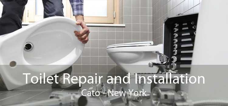 Toilet Repair and Installation Cato - New York