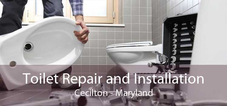 Toilet Repair and Installation Cecilton - Maryland