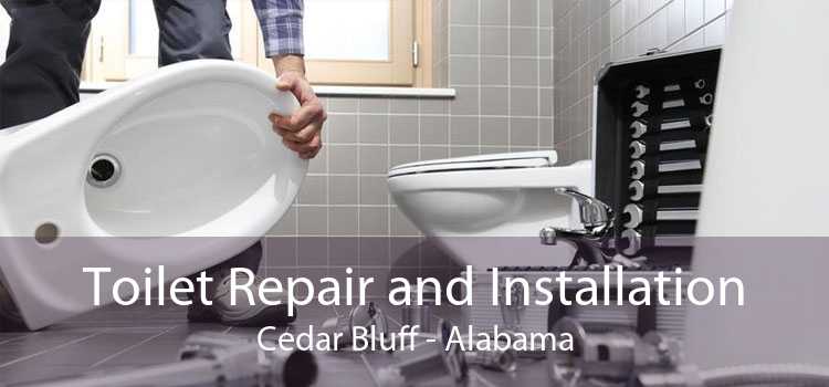 Toilet Repair and Installation Cedar Bluff - Alabama