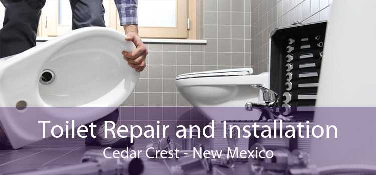 Toilet Repair and Installation Cedar Crest - New Mexico