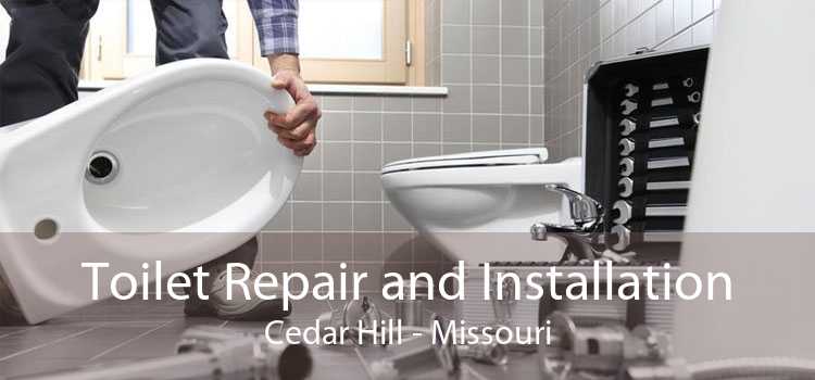 Toilet Repair and Installation Cedar Hill - Missouri