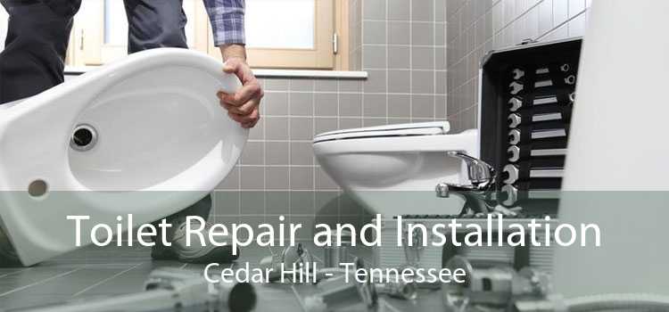 Toilet Repair and Installation Cedar Hill - Tennessee
