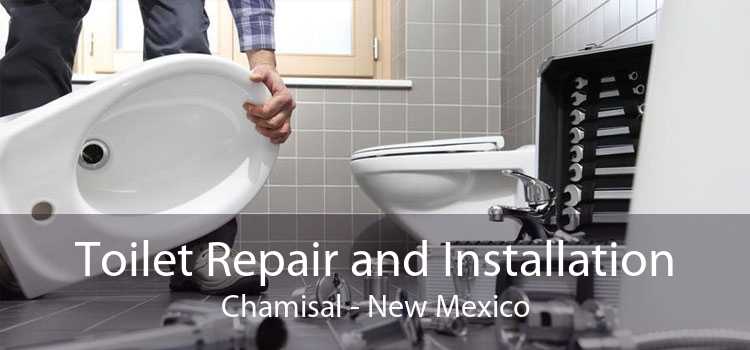 Toilet Repair and Installation Chamisal - New Mexico