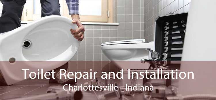 Toilet Repair and Installation Charlottesville - Indiana