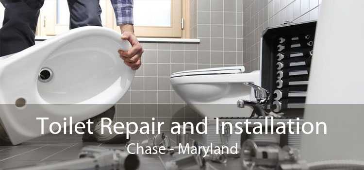 Toilet Repair and Installation Chase - Maryland